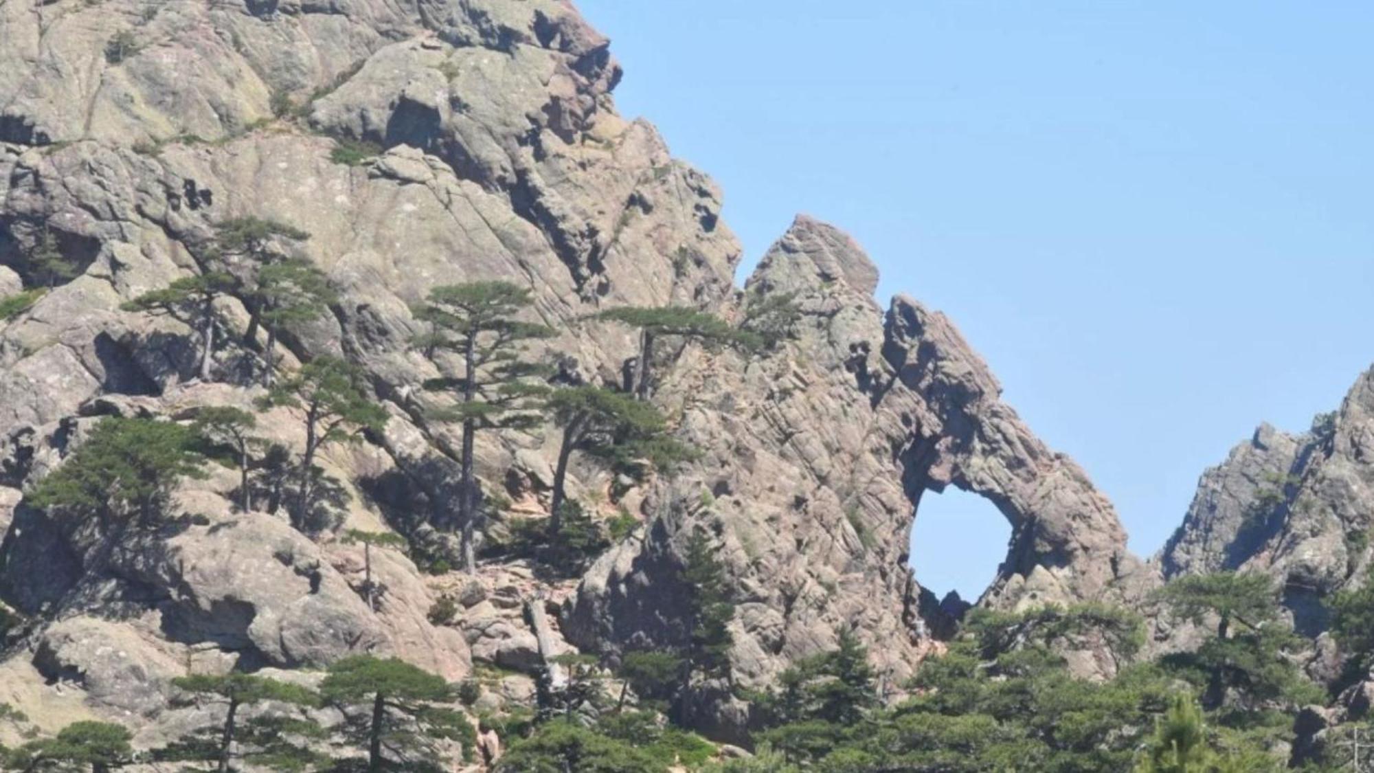 Отель Domaine Le Mouflon D'Or Дзондза Экстерьер фото