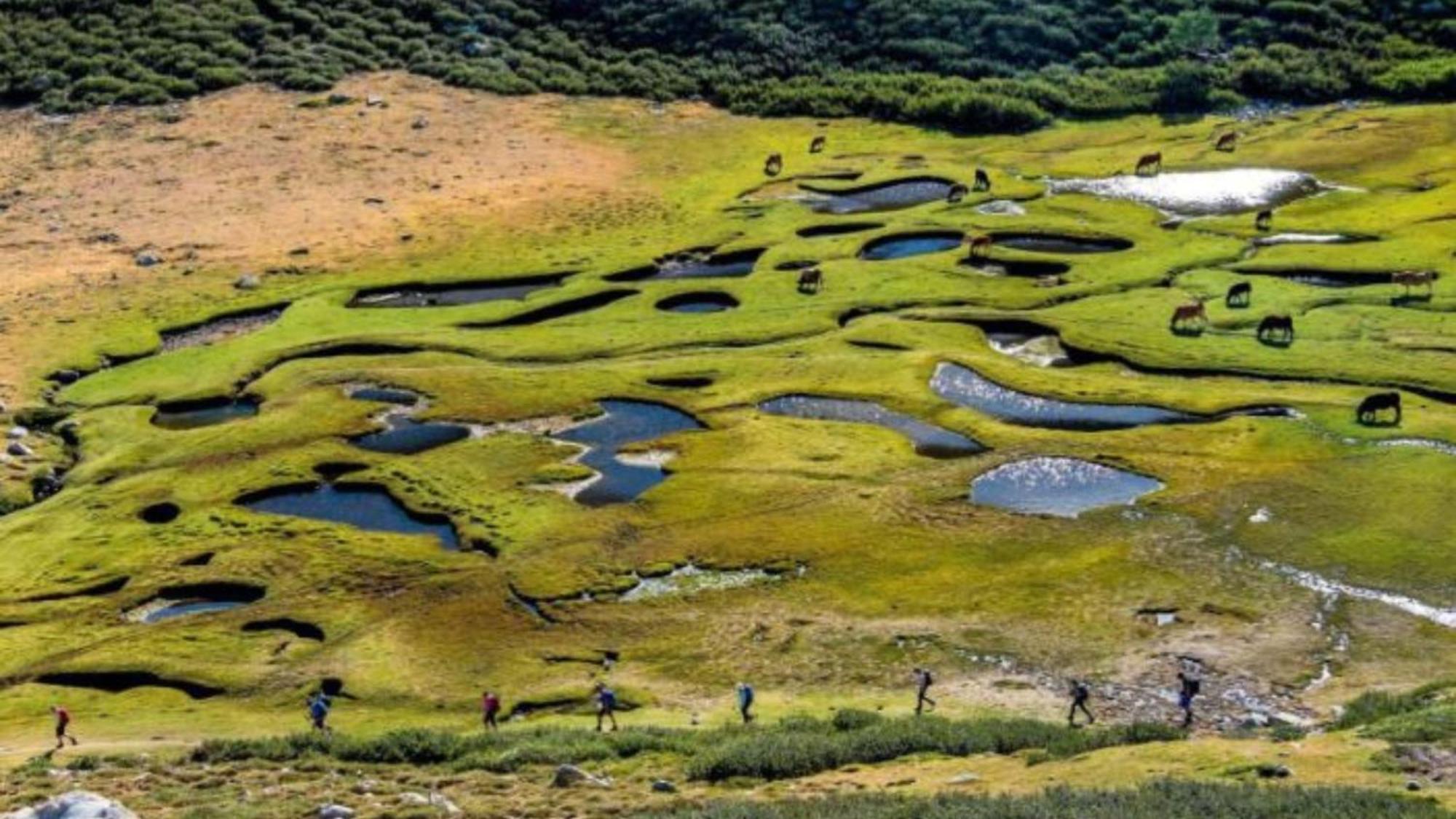 Отель Domaine Le Mouflon D'Or Дзондза Экстерьер фото